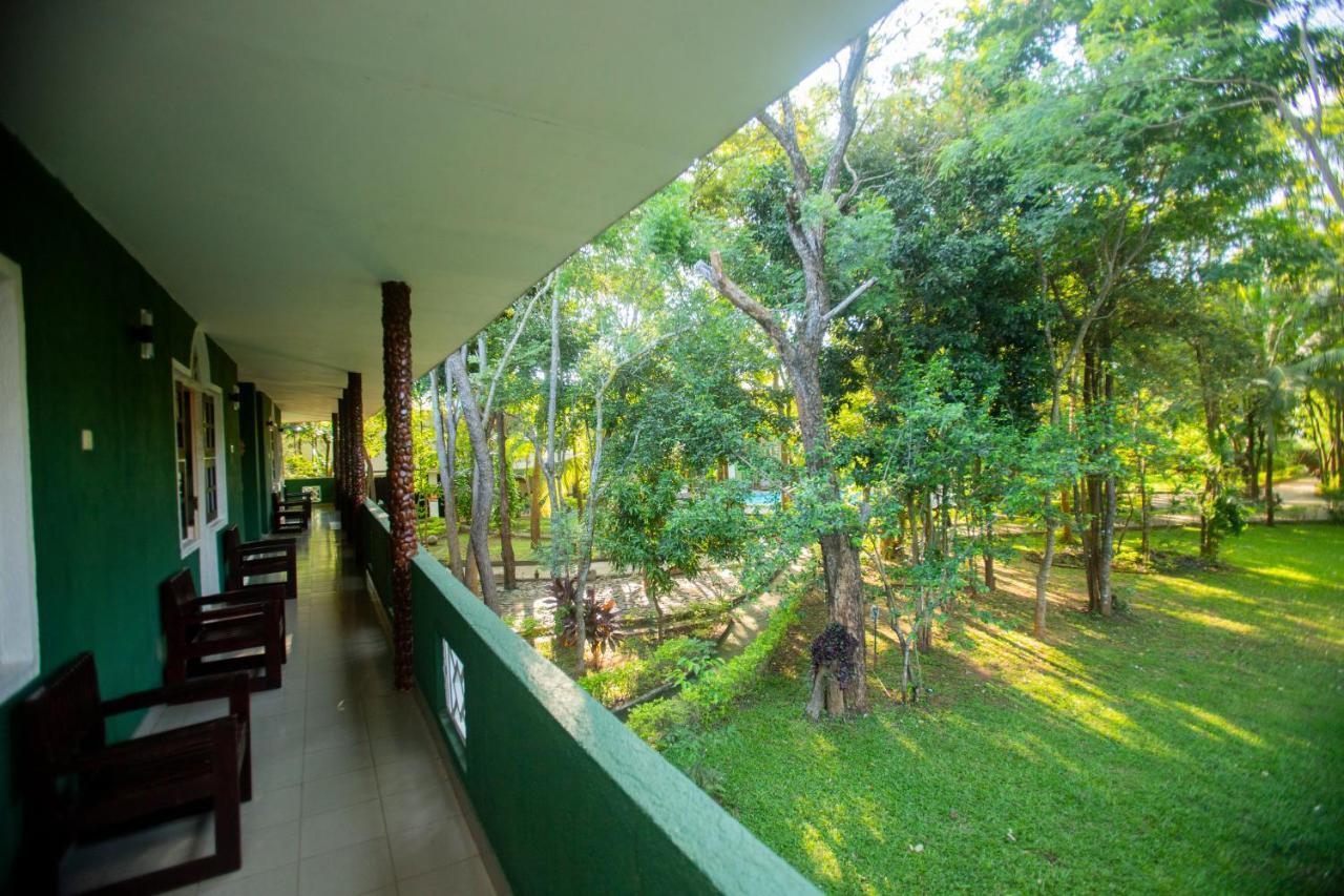 Hotel Eden Garden Szigirija Kültér fotó